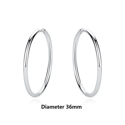Original 925 Sterling Silver Earrings 2026 Stud Hoop Crystal Earings For Women Rose Gold Crown Heart Infinity Bee Earing Jewelry